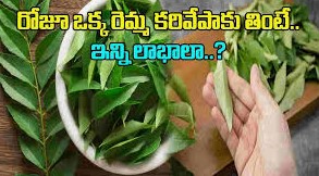 కరివేపాకులను రోజూ ఇలా తినండి